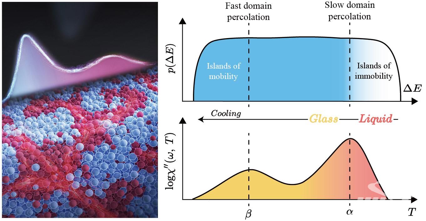 于海滨现象揭秘，奇偶信号反常波动揭示真相！